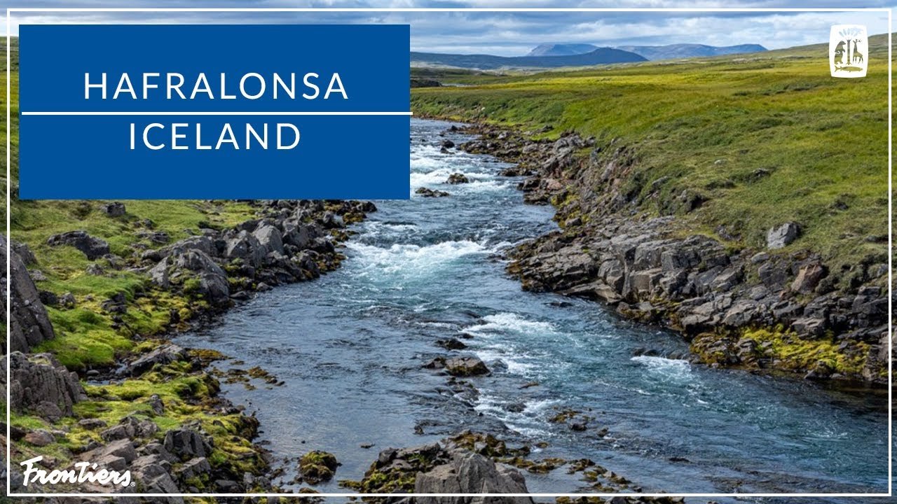 Hafralonsa, Iceland