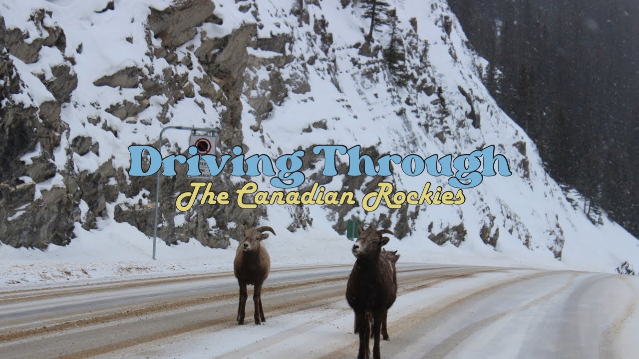 Driving Through the Canadian Rockies: AKA Banff and Jasper National Park 
