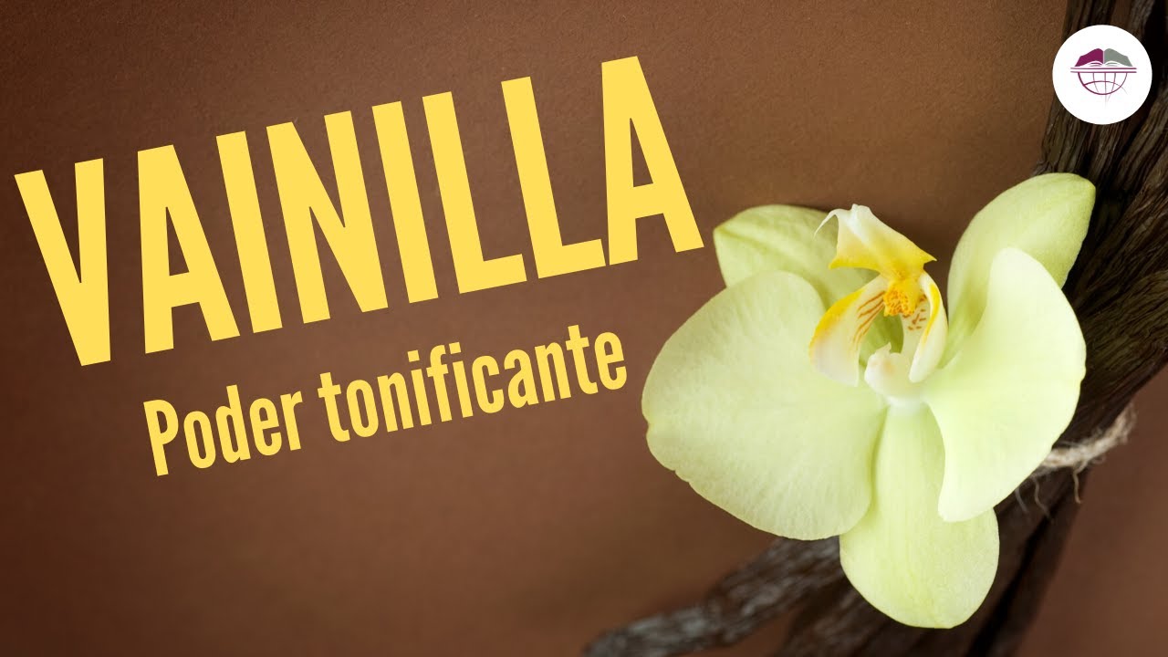 VAINILLA  PODER TONIFICANTE