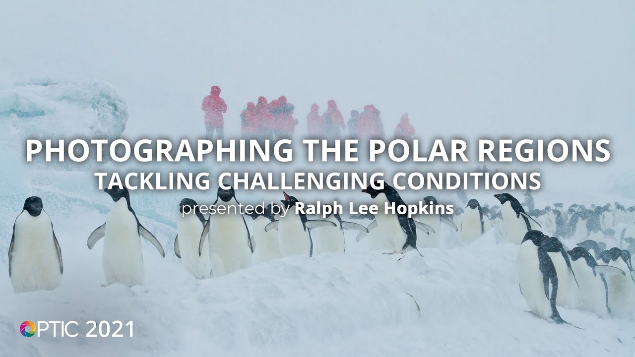 Photographing the Polar Regions: Tackling Challenging Conditions with Ralph Lee Hopkins | OPTIC 2021