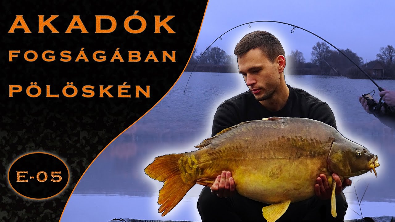 Bojlival magyar vizeken E-05 ~ Akadók fogságában - Pölöske 🎣