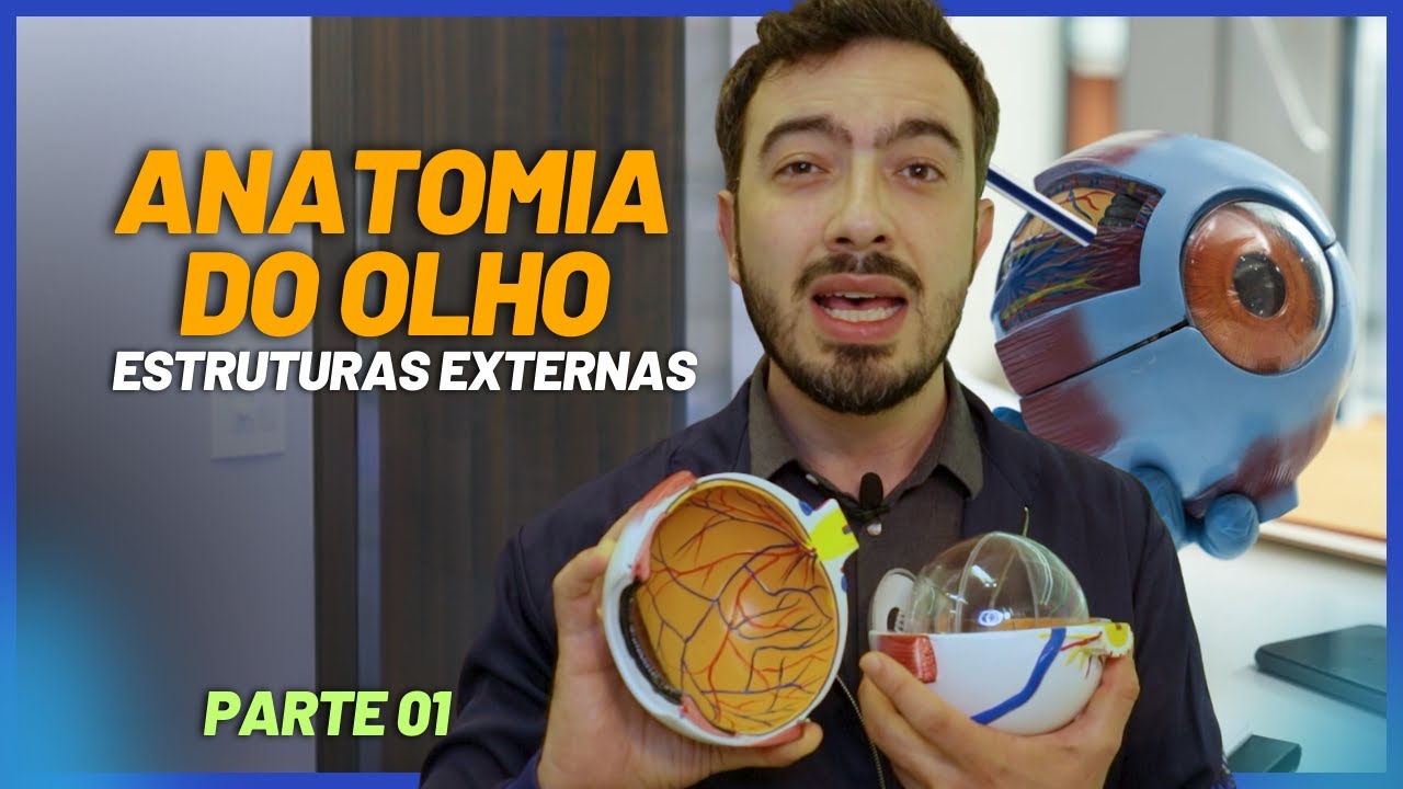 ANATOMIA DO OLHO [PARTE 1] | Estruturas Externas