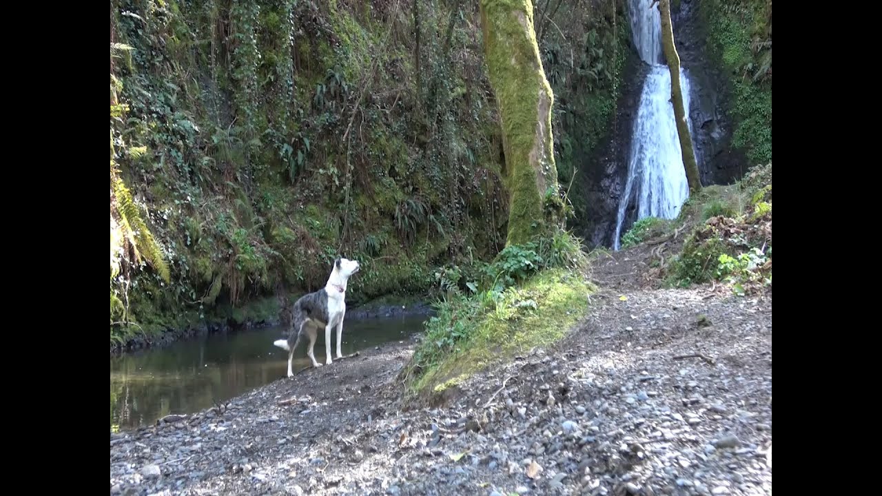 Ray Kelly, Isle of Man, Waterfall at Spooyt Vane