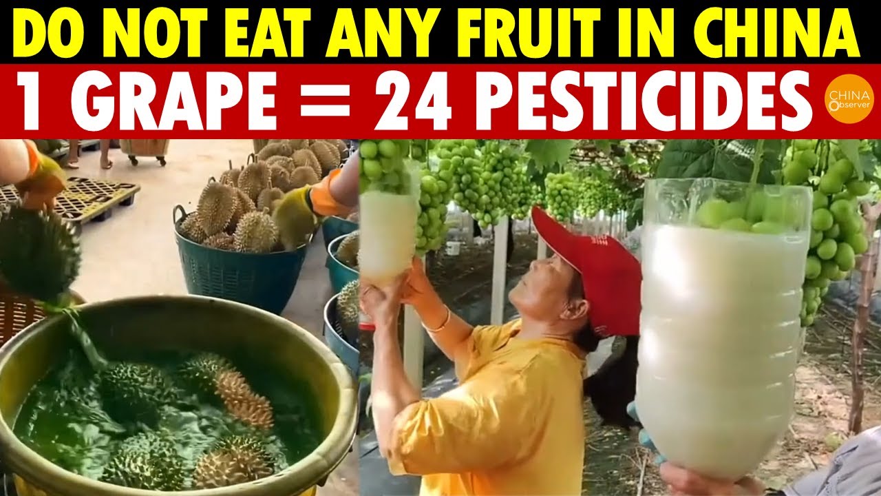 Do Not Eat Any Fruit in China; Eating One Grape Equals 24 Doses of Pesticide