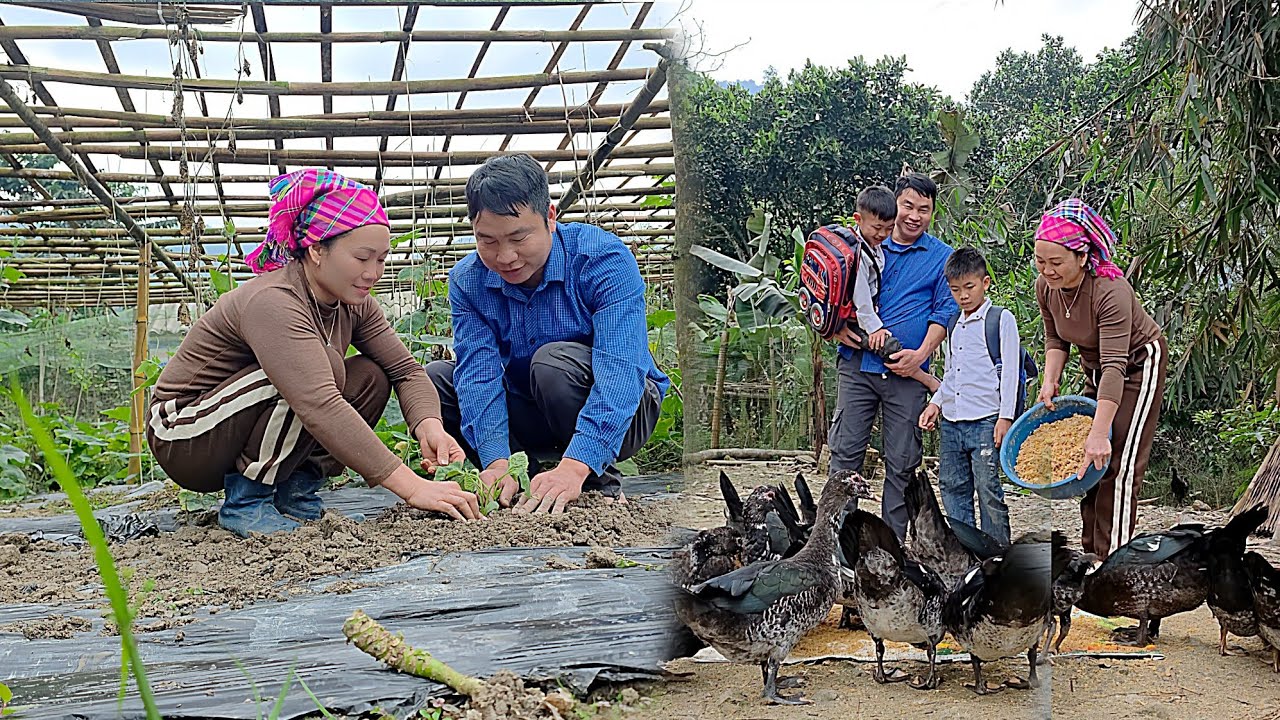 The power of love: Dang and Thanh plant pumpkins together to build a new life. DANG THI DU. 