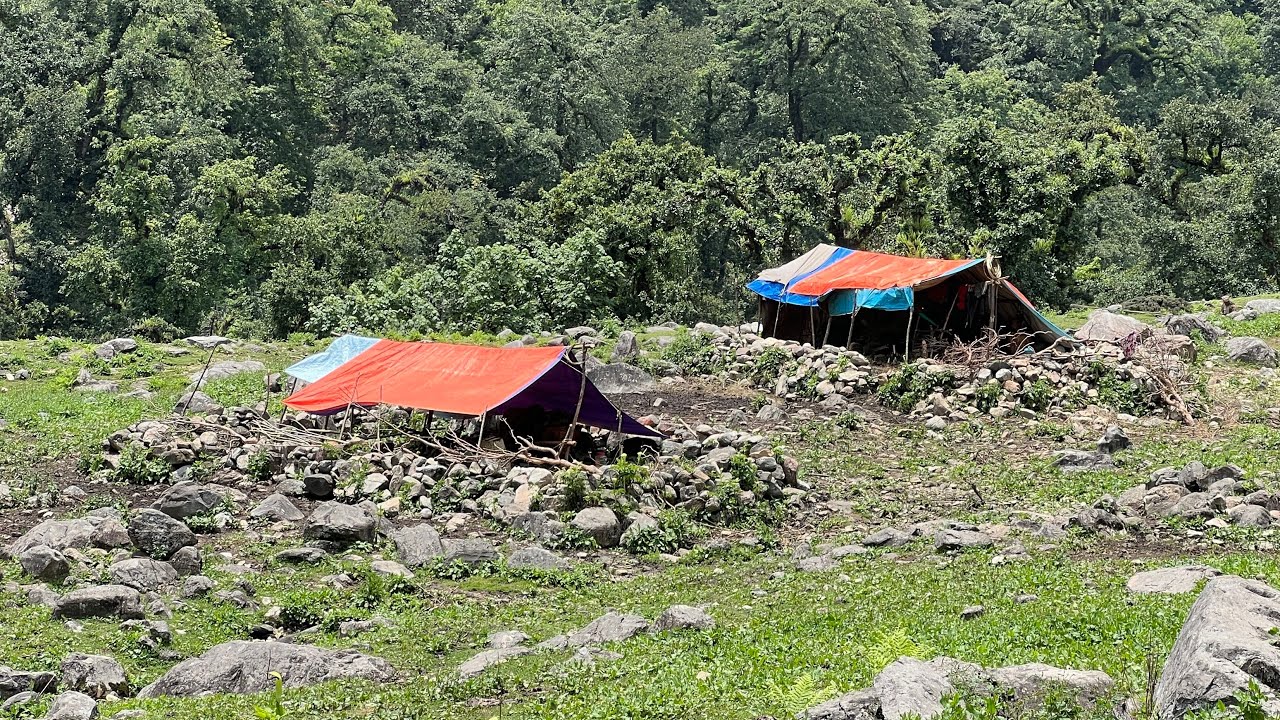 Organic Nepali Mountain Village || Rural Lifestyle in Nepal || IamSuman