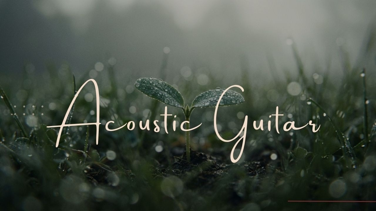 Cozy Acoustic Guitar Coffee Music | Warm Relaxing Guitar Instrumental for Peaceful Mornings