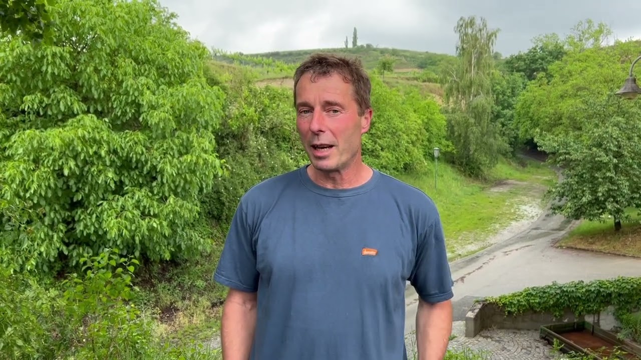 Niki Moser introduces his family winery, Vitikultur Moser