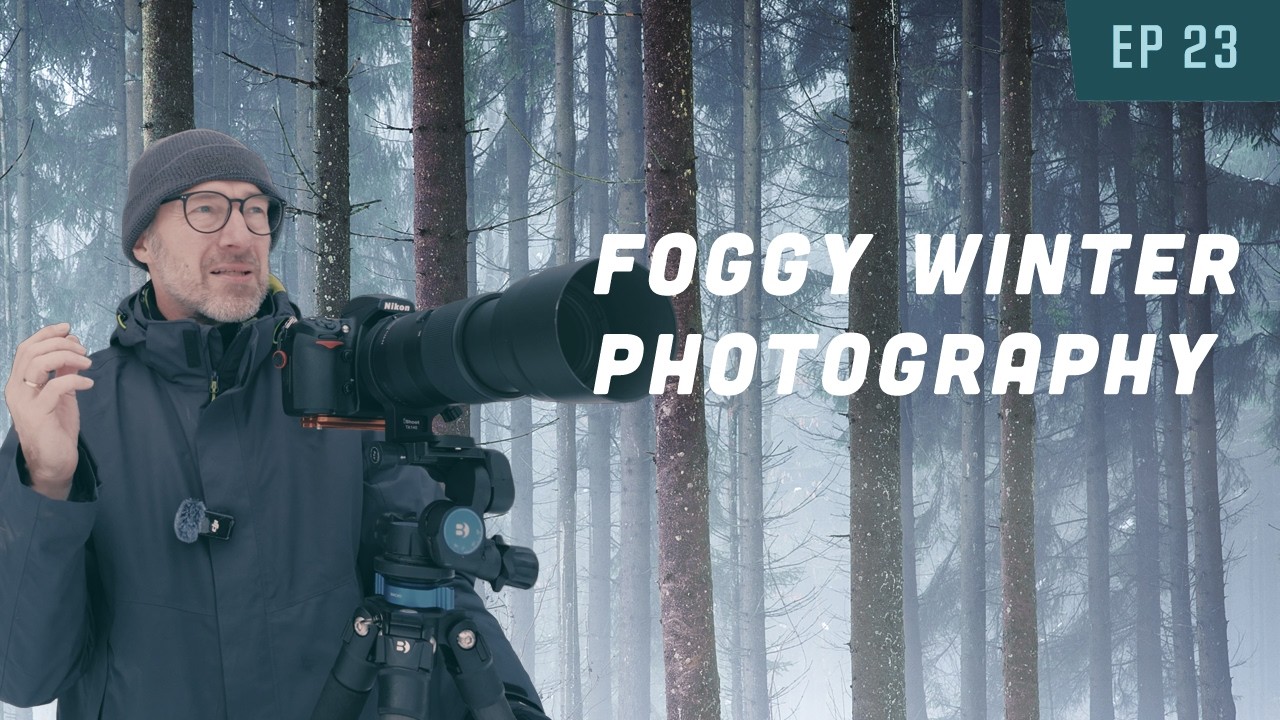 Woodland Photography with snow and fog - D700 - Tamron 100-400