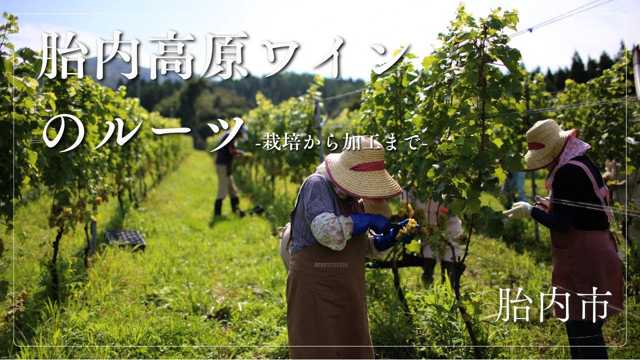 【絶景と美酒】胎内高原ワインのルーツ
