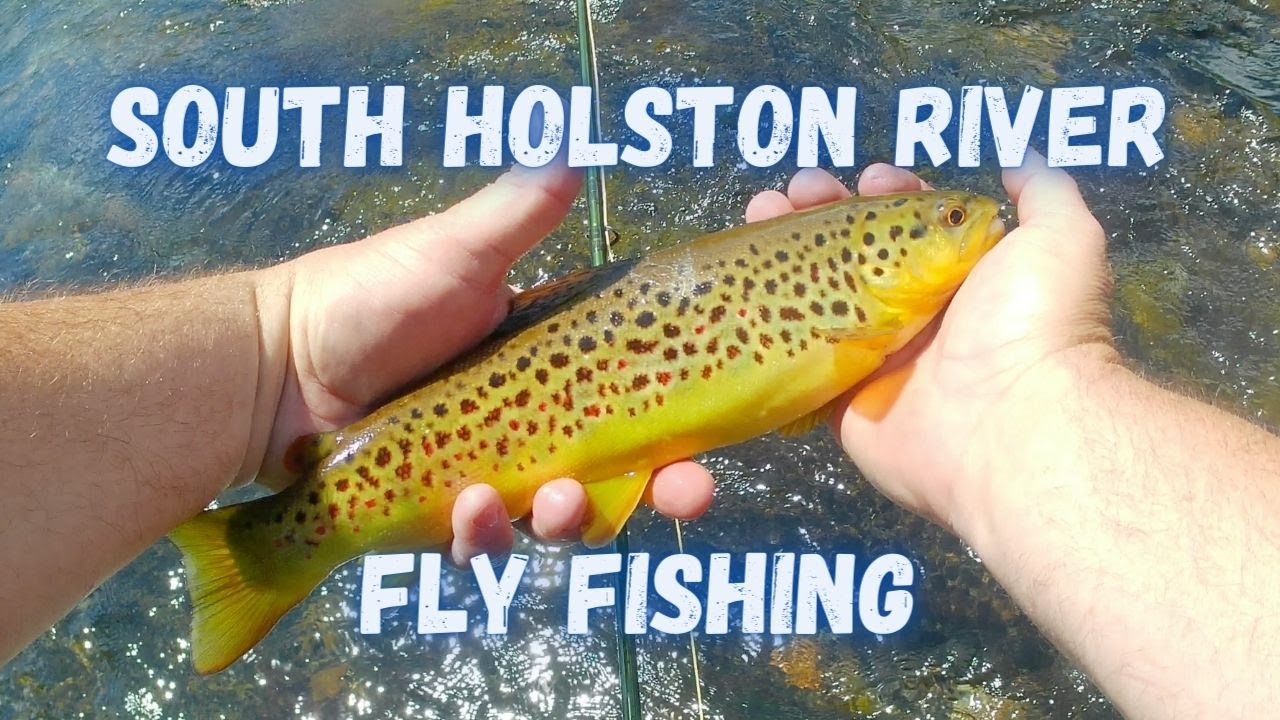 South Holston River Fly Fishing