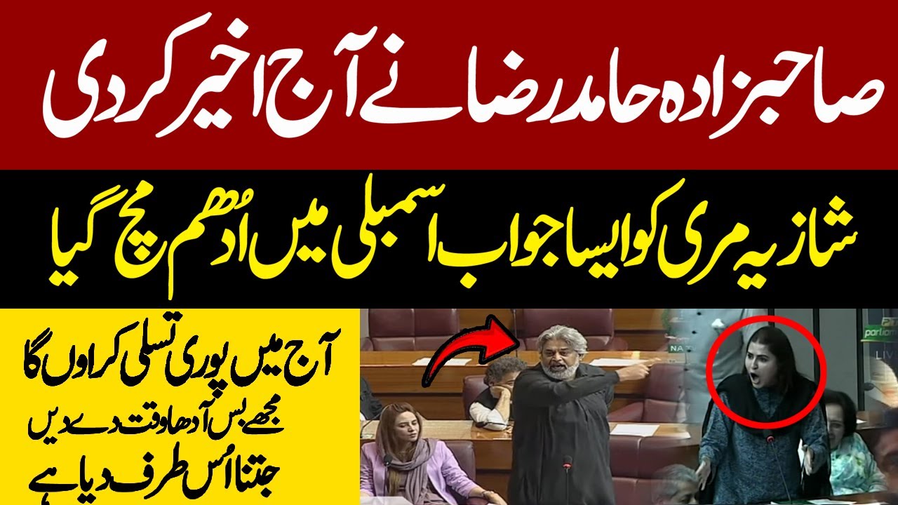 Sahibzada Hamid Raza Vs Shazia Marri | This Speech Will Be Remembered In History |National Assembly