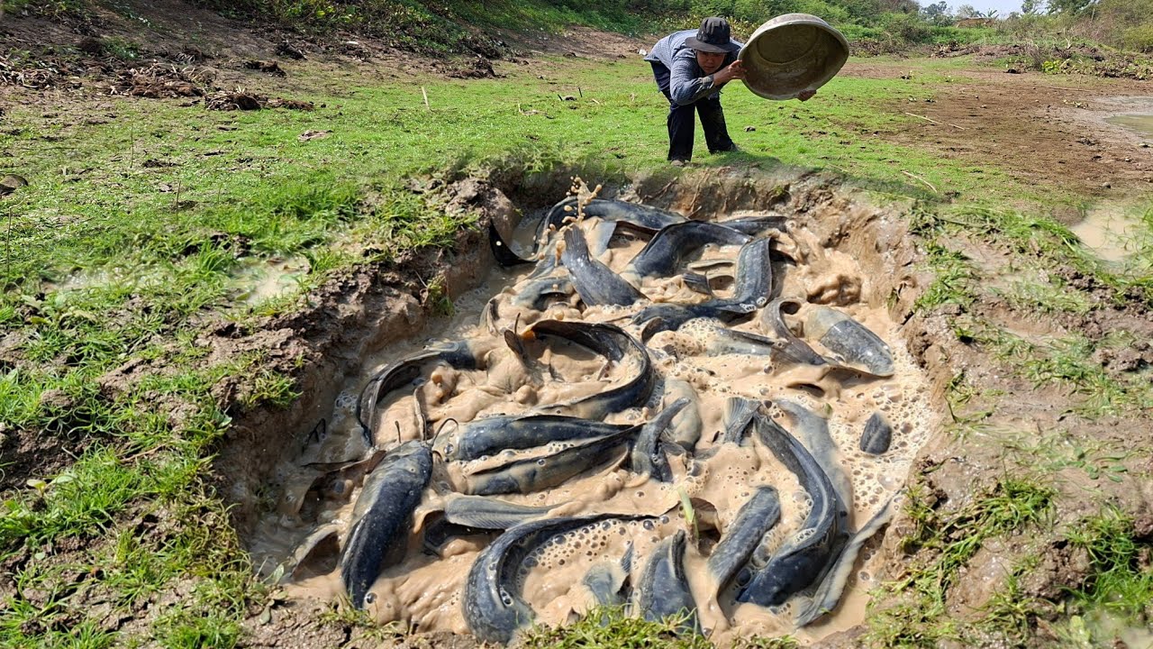 Wow, that's amazing. A female fisherman caught a lot of fish in a big stream.
