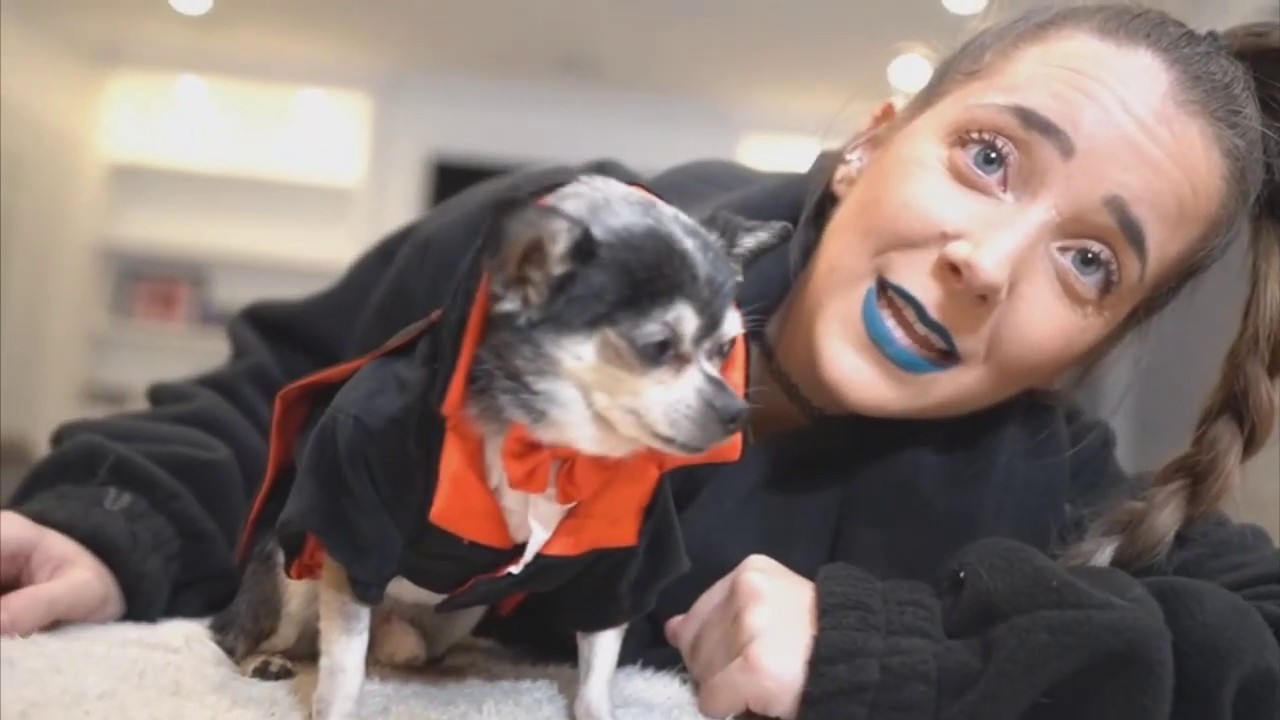 mr marbles being the definition of cute for ten minutes straight // jenna marbles compilation
