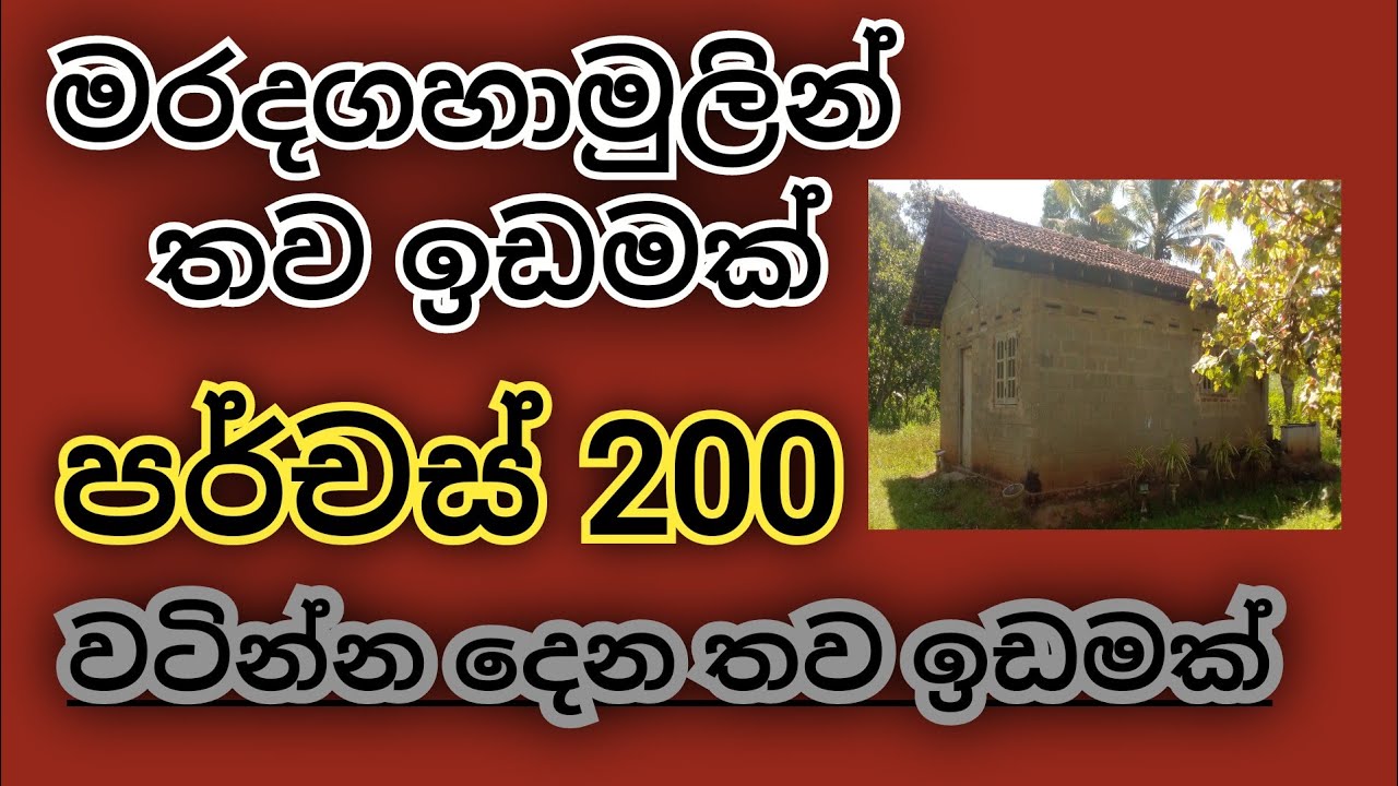 @ranaland338 /  දිවුලපිටිය මරදගහාමුලින් අක්කරයයි පර්චස් 40 / ව්ටින්න ගන්න ඉඩමක්