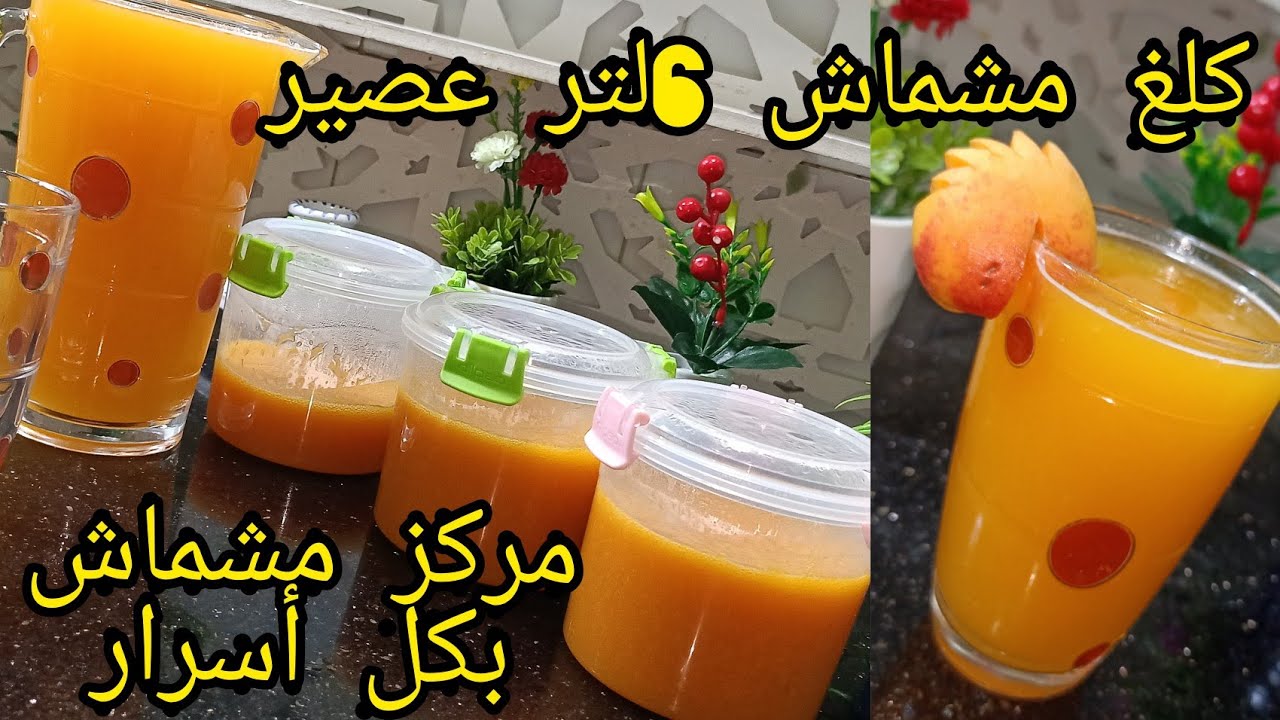 وصفة حصريةعندك كلغ مشماش أتعلم تخدم مركز وتخرج عصير مشماش طبيعي6 لتر