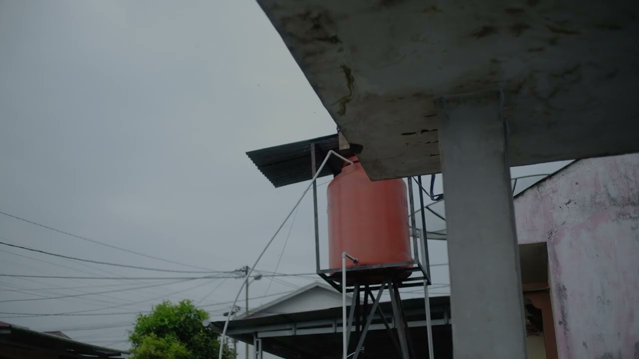 POV: You're Stuck in the Rain in an Old Bookstore (ASMR Cozy Library)