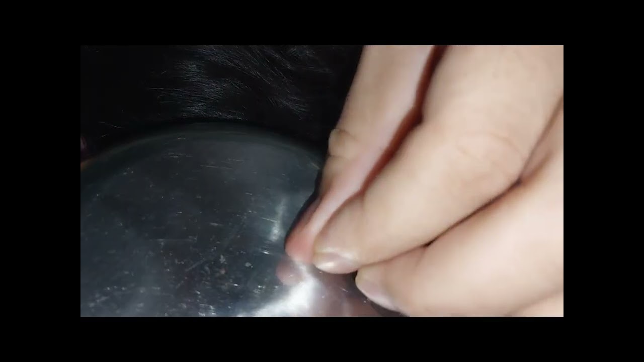 Nitpicking ASMR video 305    #nitpicking #asmr #kuto #piolhos #petantumo #licepicking #catandopiolho