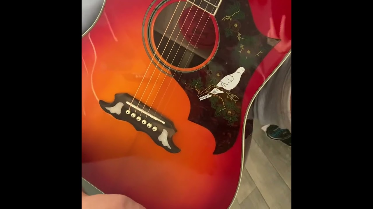 Chibson Dove Unboxing