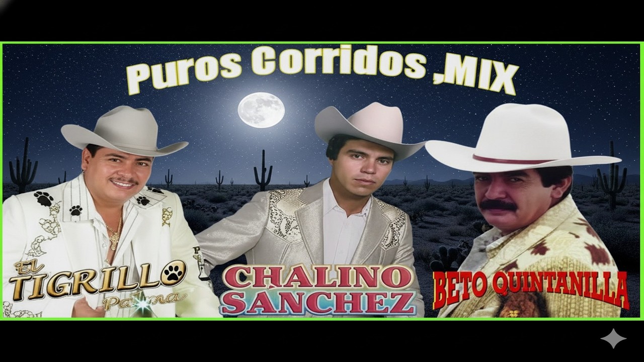 Chalino Sanchez, Beto Quintanilla y Tigrillo Palma Mix Para Pistear - Corridos Pesados Mix