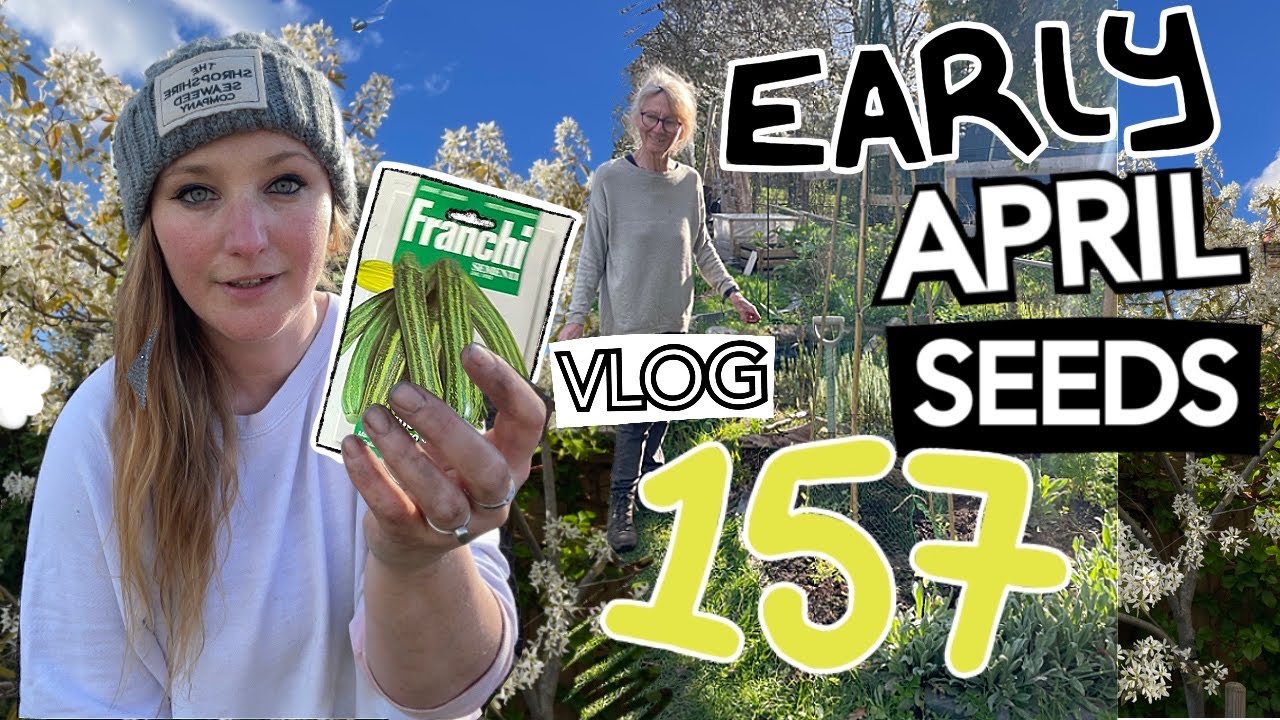 Ep157 - April Seed Sowing pt1. Courgettes, Carrots and Potatoes || Plot 37