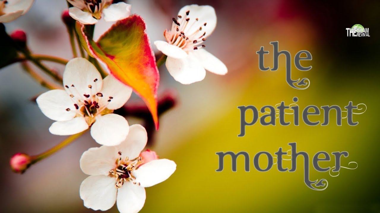 The Patient Motherᴴᴰ - A Heart-trembling Story
