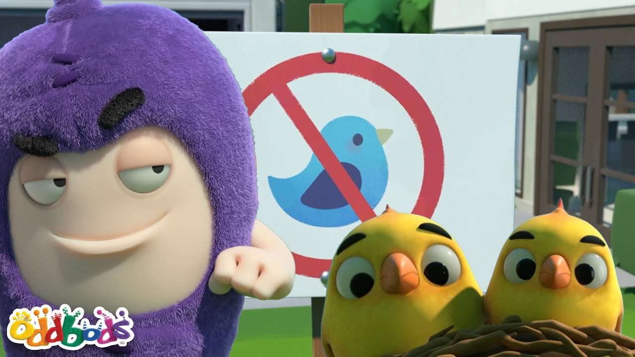 The Birds | Brains vs Beaks | OddBods | Kids Show | Toddler Learning Cartoons