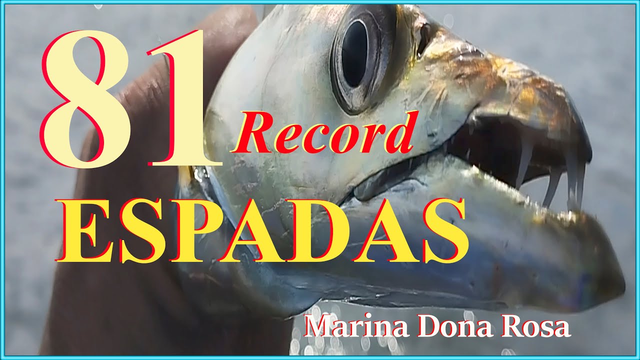(81 ESPADAS RECORD!!) - MARINA DONA ROSA