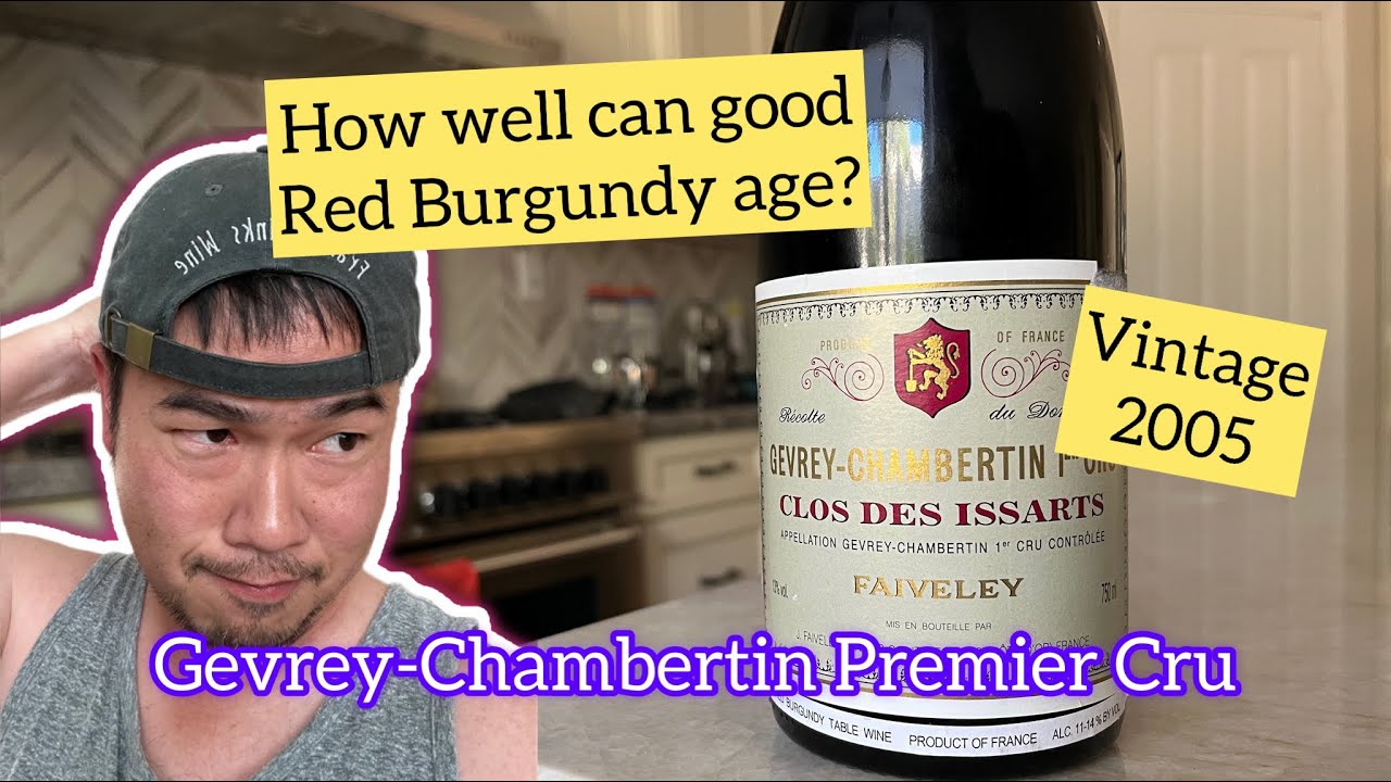 $150 Aged Burgundy - Domaine Faiveley Gevrey-Chambertin Premier Cru