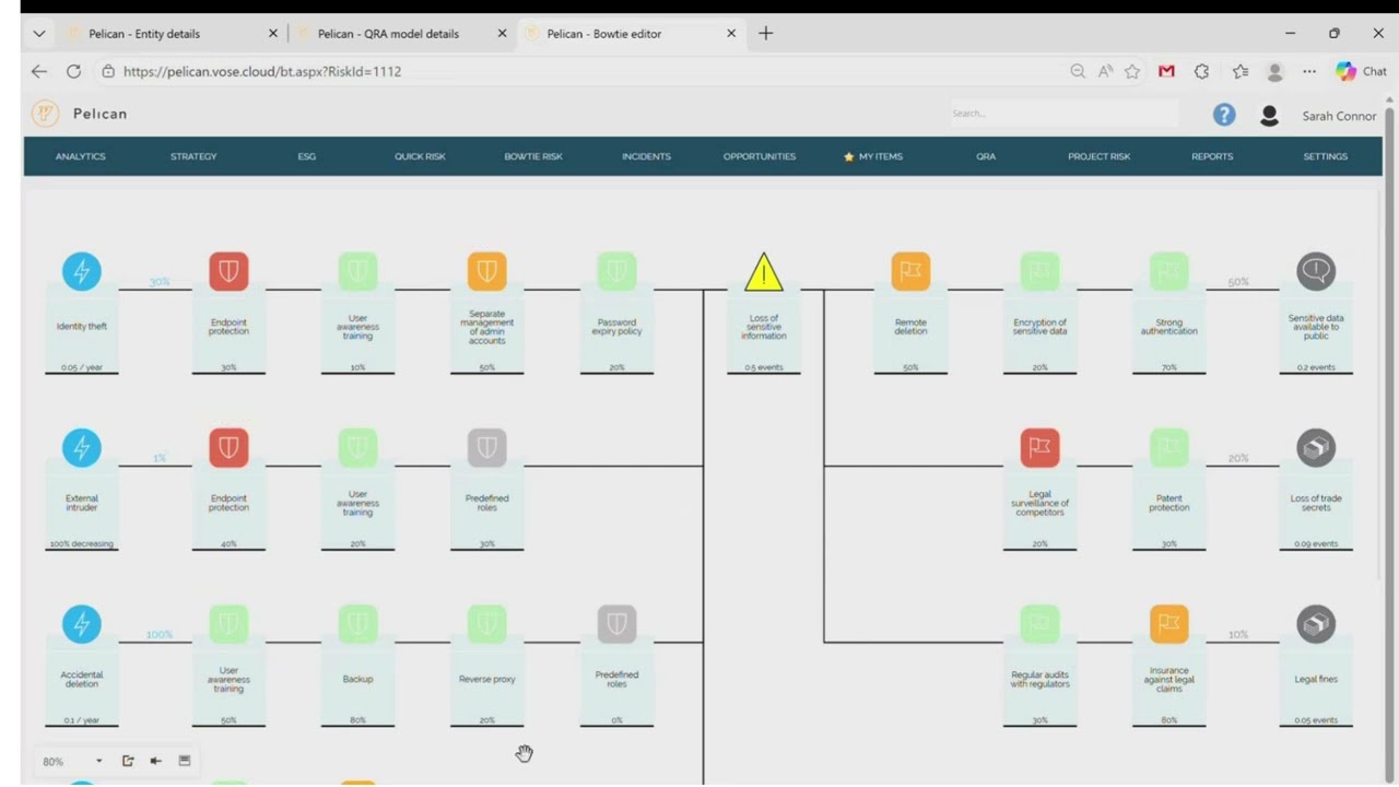 The Future of ModelRisk and Pelican by Timour Koupeev