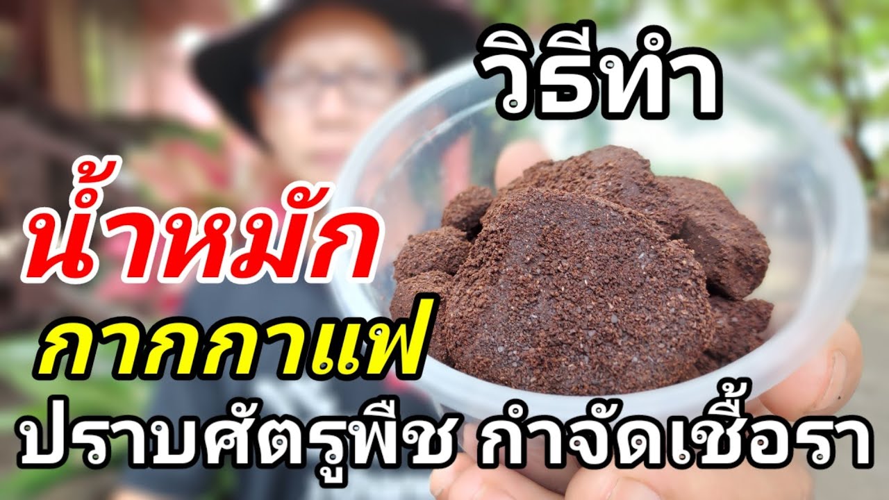 สูตรน้ำหมัก กากกาแฟ ปราบมด เพลี้ย หนอนแมลง กำจัดเชื้อรา 