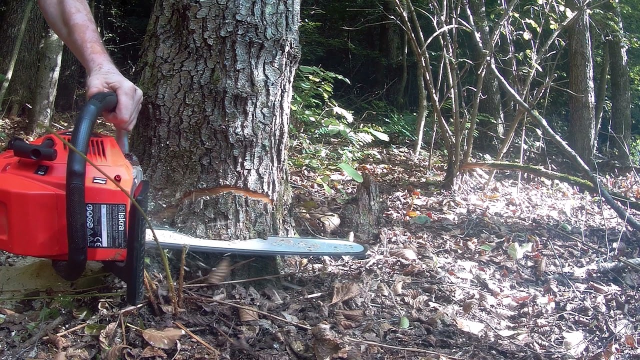 Jednostavno ru&scaron;enje stabla