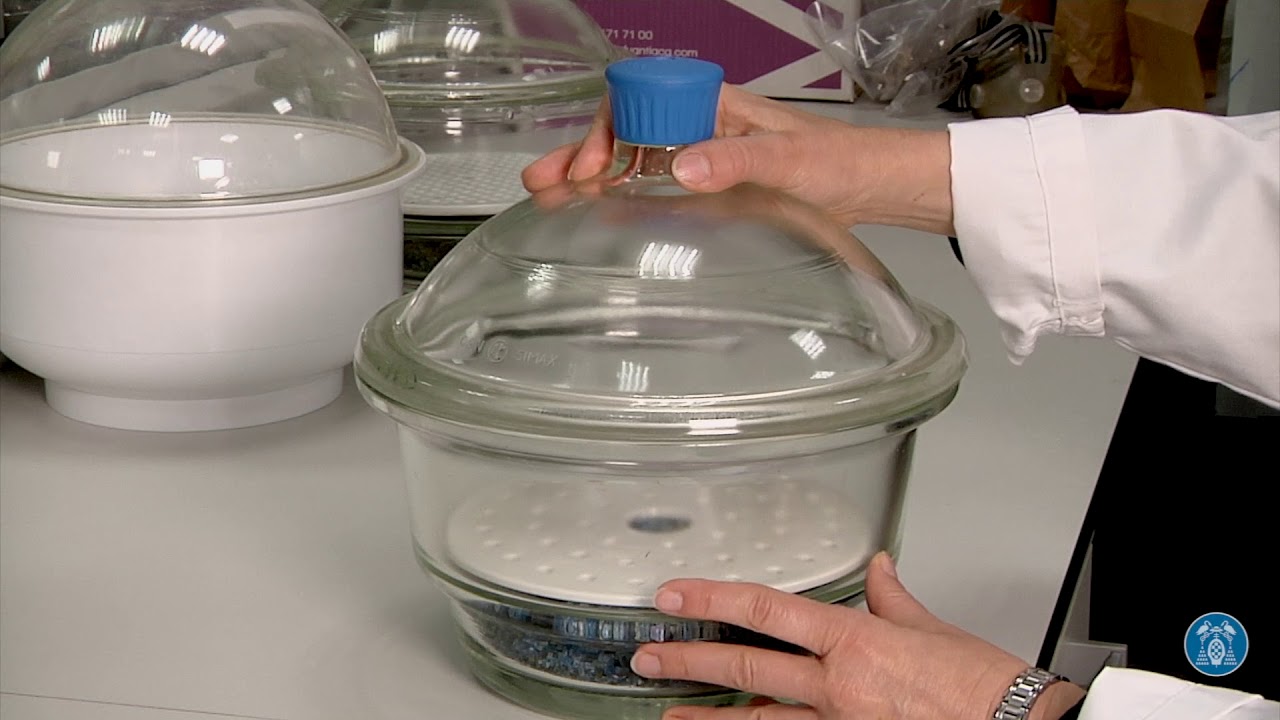 4 Cuantificacion Biomasa en tejidos vivos
