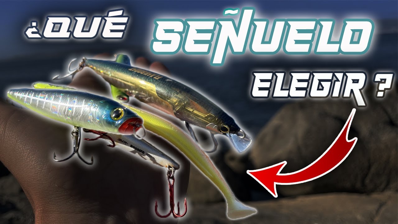 [TUTORIAL] ✅🎣 5 TIPOS de SEÑUELOS para la PESCA SPINNING || APRENDE a elegir el ADECUADO