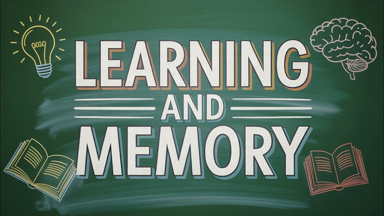 Chapter 5 | Learning and Memory in psychology | part 2