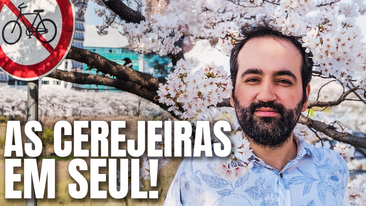 AS CEREJEIRAS: O LUGAR MAIS BONITO (E MAIS SOMBRIO) DE SEUL | Primavera na Coreia do Sul