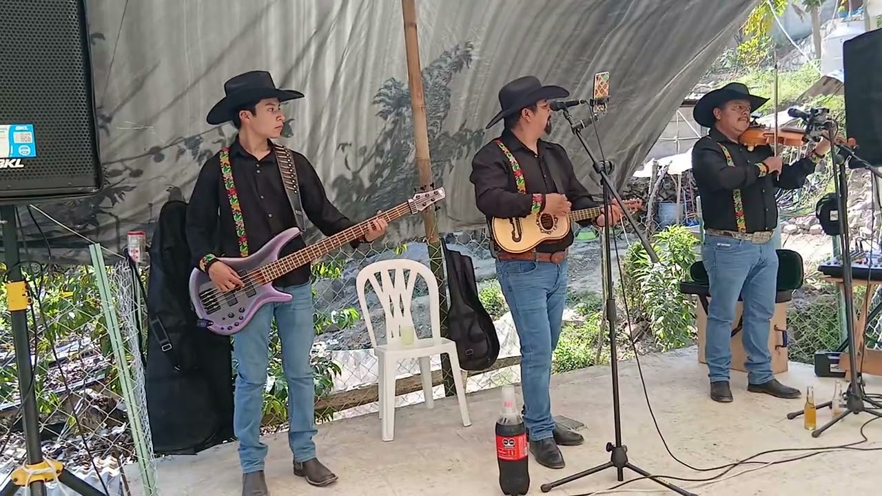 El tirador - Trío Laberinto Huasteco 