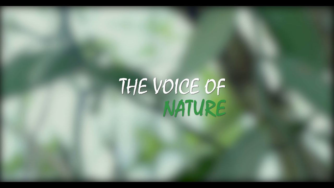 Sri Lankan Organic Agriculture Documentary