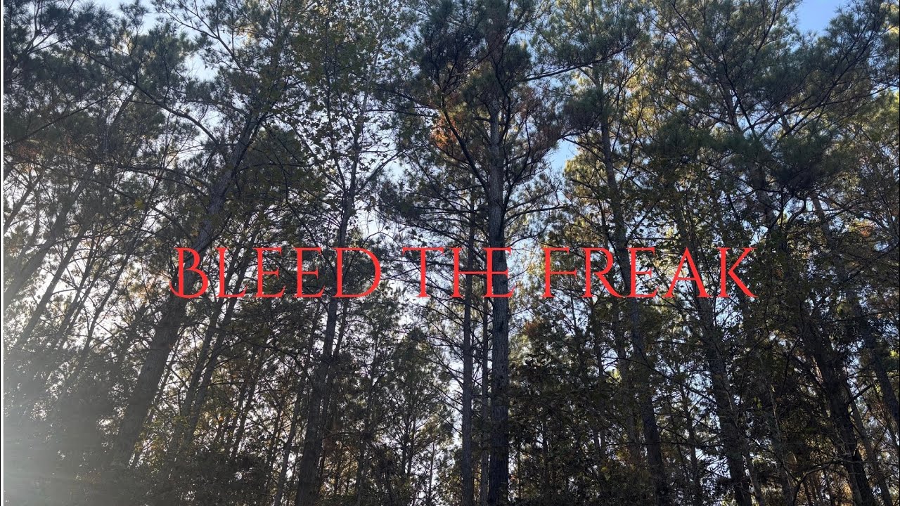 Bleed The Freak By Alice In Chains (COVER)