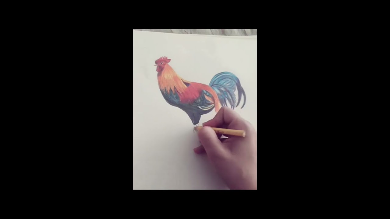 How to draw with Pencil colors Creative by Artistic Approach