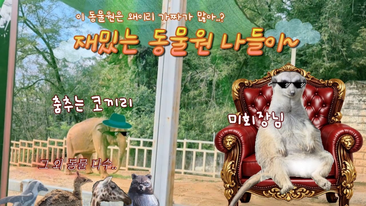 재밌는 동물원 나들이