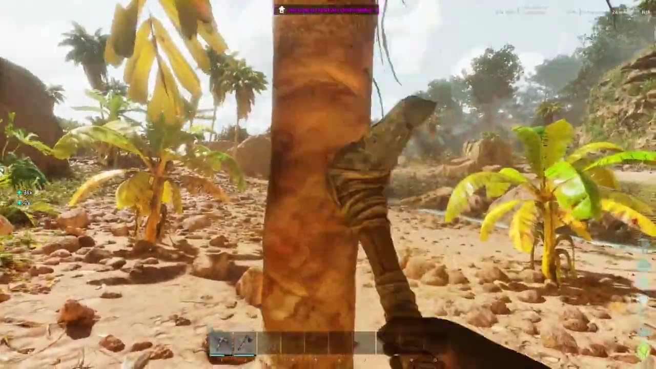 ark