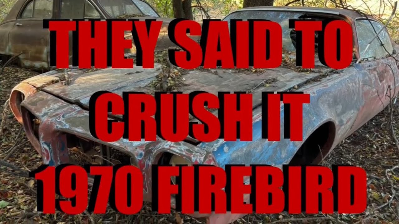 1970 Pontiac Firebird Rescued from Car Hoard #cars #musclecars #asap #realisticrescues #saved #sold 