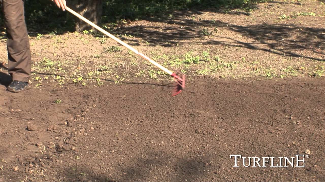 Закладка нового газона травосмесями Turfline®