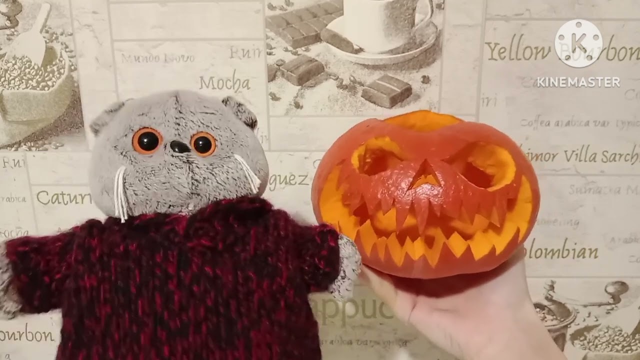 ХЭЛЛОУИНСКИЙ влог с Басиками 2023🎃😺