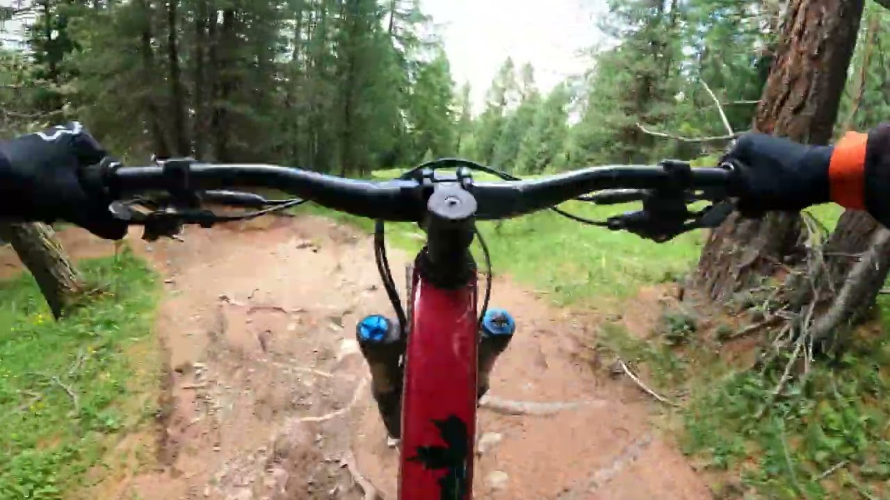 Livigno DH von 2005