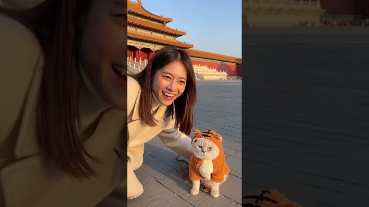 老虎貓在中國 北京故宮 第一次走進皇宮🏯🐯｜Tiger Costume Cat Becomes a Little Prince at the Forbidden City | So Majestic