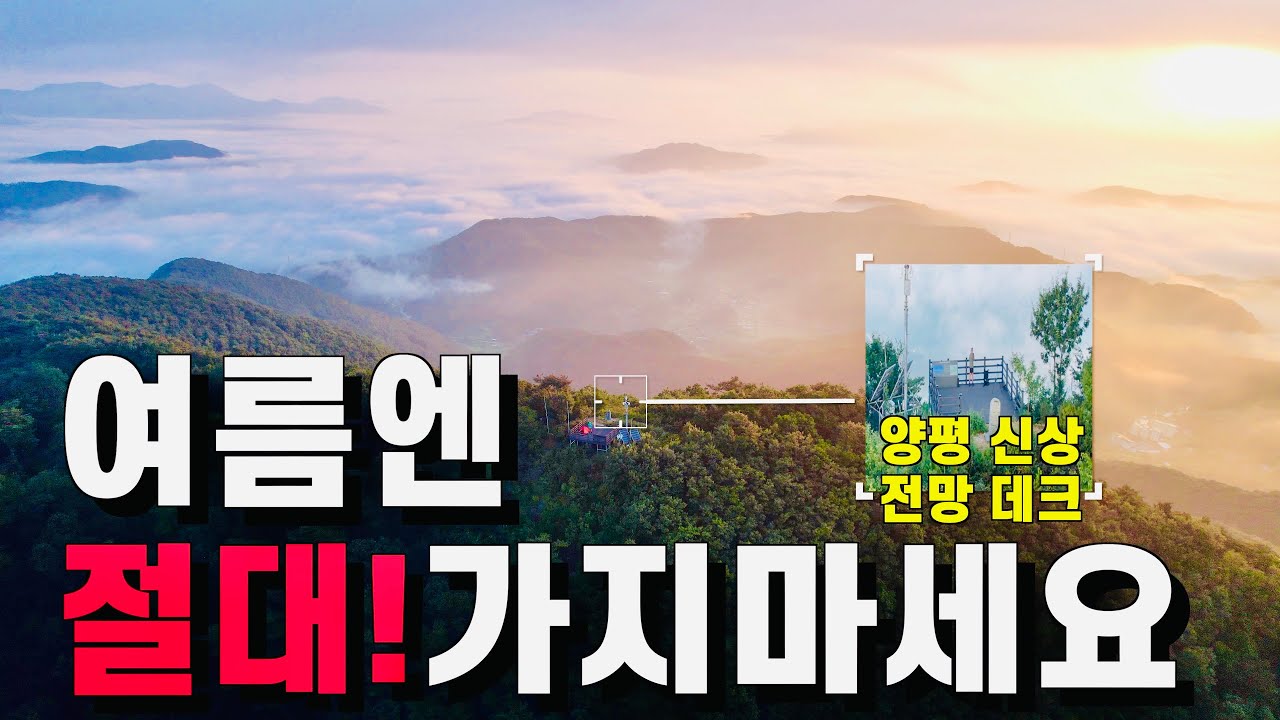여름에 산에서 혼자 하룻밤 보내면 생기는 일! (부제: 여름 백패킹의 현실과 낭만)