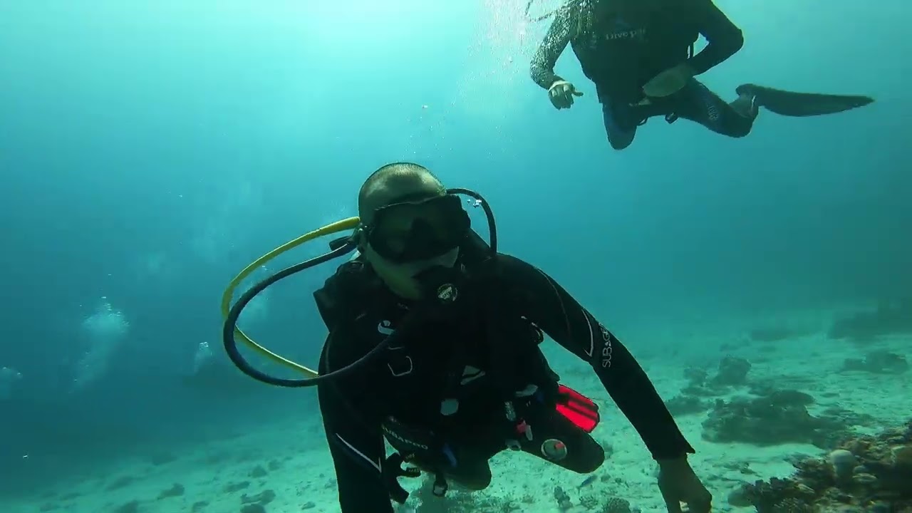 plongée Hurgada AL FANDAR avec @Omar_vlp_diving
