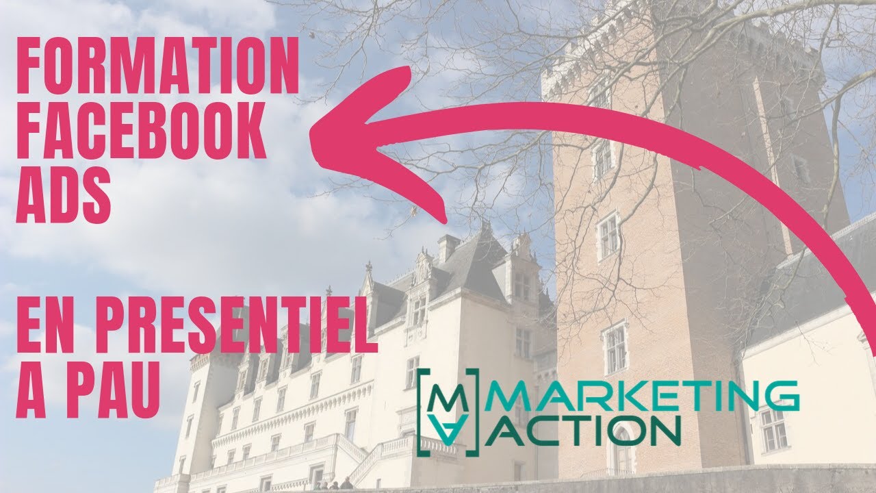 Formation Facebook Ads - Publicit&eacute; Facebook &agrave; Pau 2019 2020